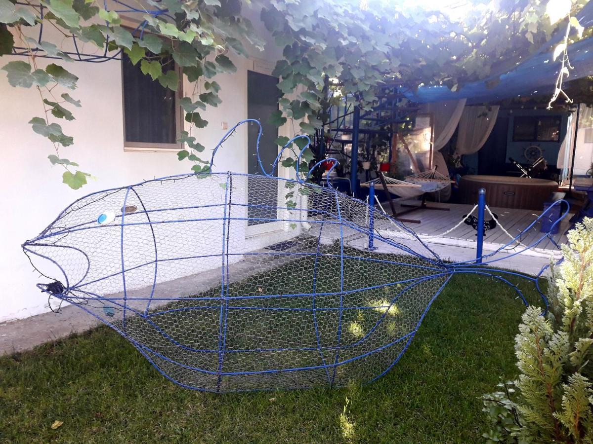 Casa Babica Guesthouse 科斯蒂内什蒂 外观 照片