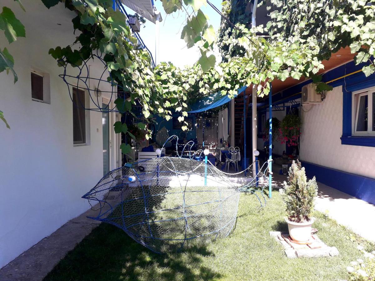 Casa Babica Guesthouse 科斯蒂内什蒂 外观 照片