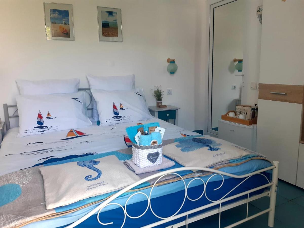 Casa Babica Guesthouse 科斯蒂内什蒂 外观 照片