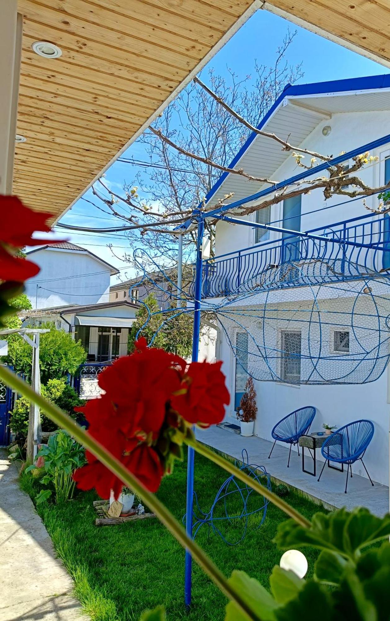 Casa Babica Guesthouse 科斯蒂内什蒂 外观 照片