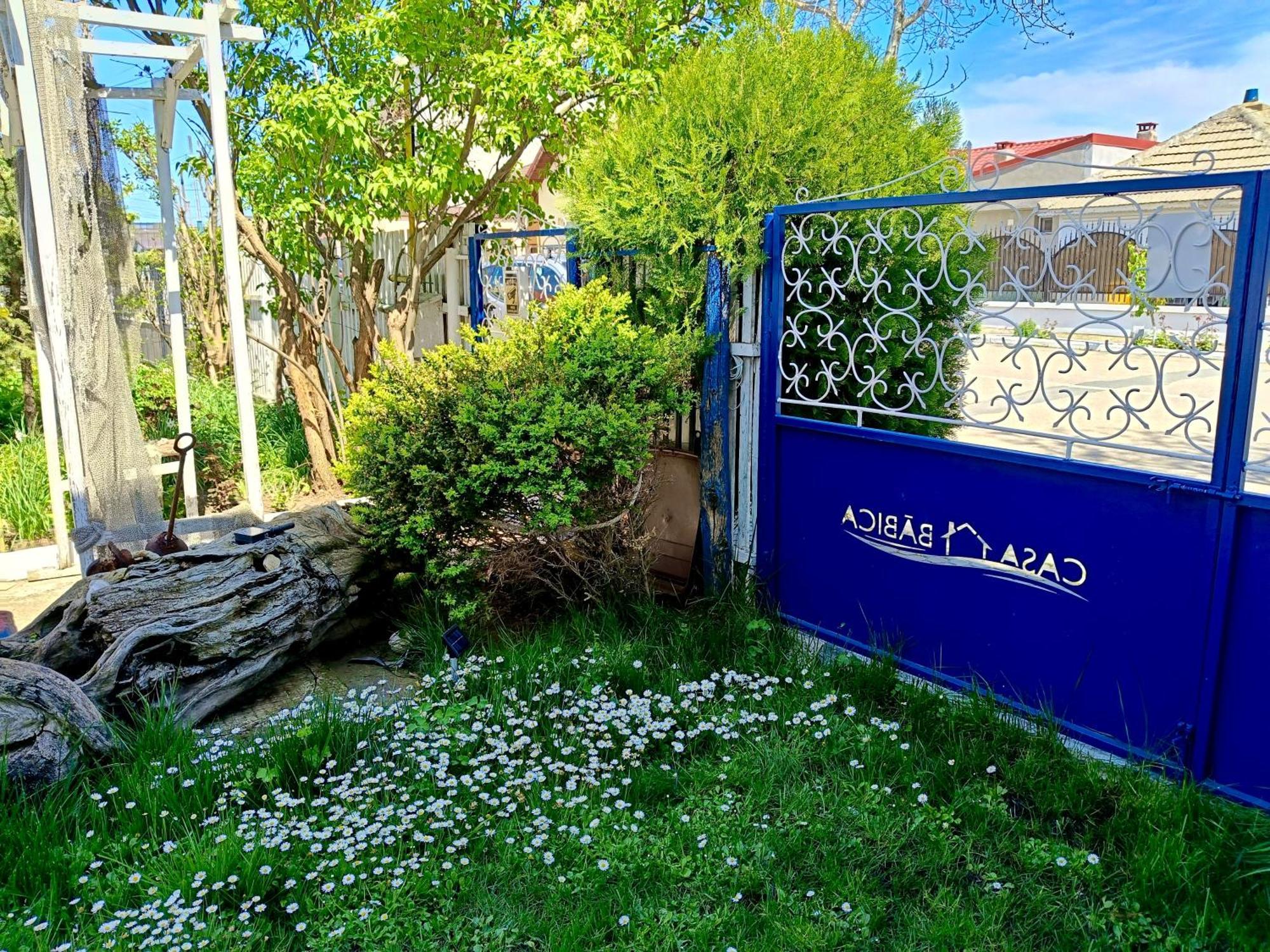 Casa Babica Guesthouse 科斯蒂内什蒂 外观 照片