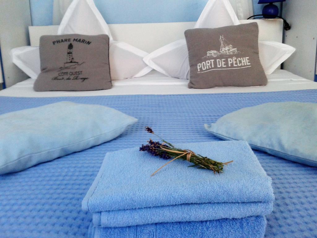 Casa Babica Guesthouse 科斯蒂内什蒂 外观 照片